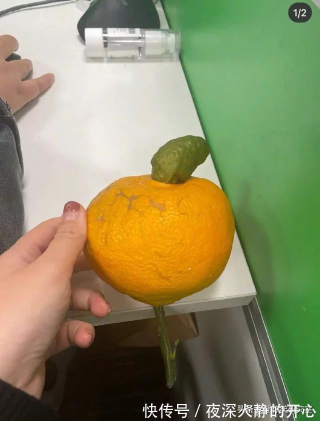 中元节|千万别随便在淘宝乱搜索,哈哈沙雕卖家想笑死我啊