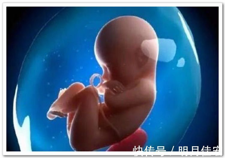 大鱼大肉|怀孕也分“体质”为啥有人从未吐过医生的解析道出孕吐实情