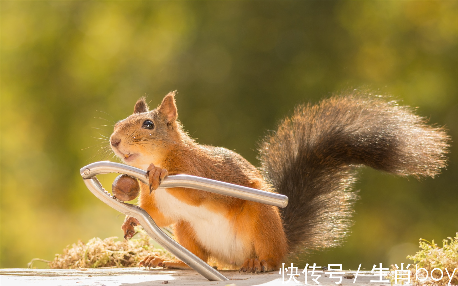 运势|牛年日子揭不开锅，虎年日子富得流油的4生肖，有钱花有福享！