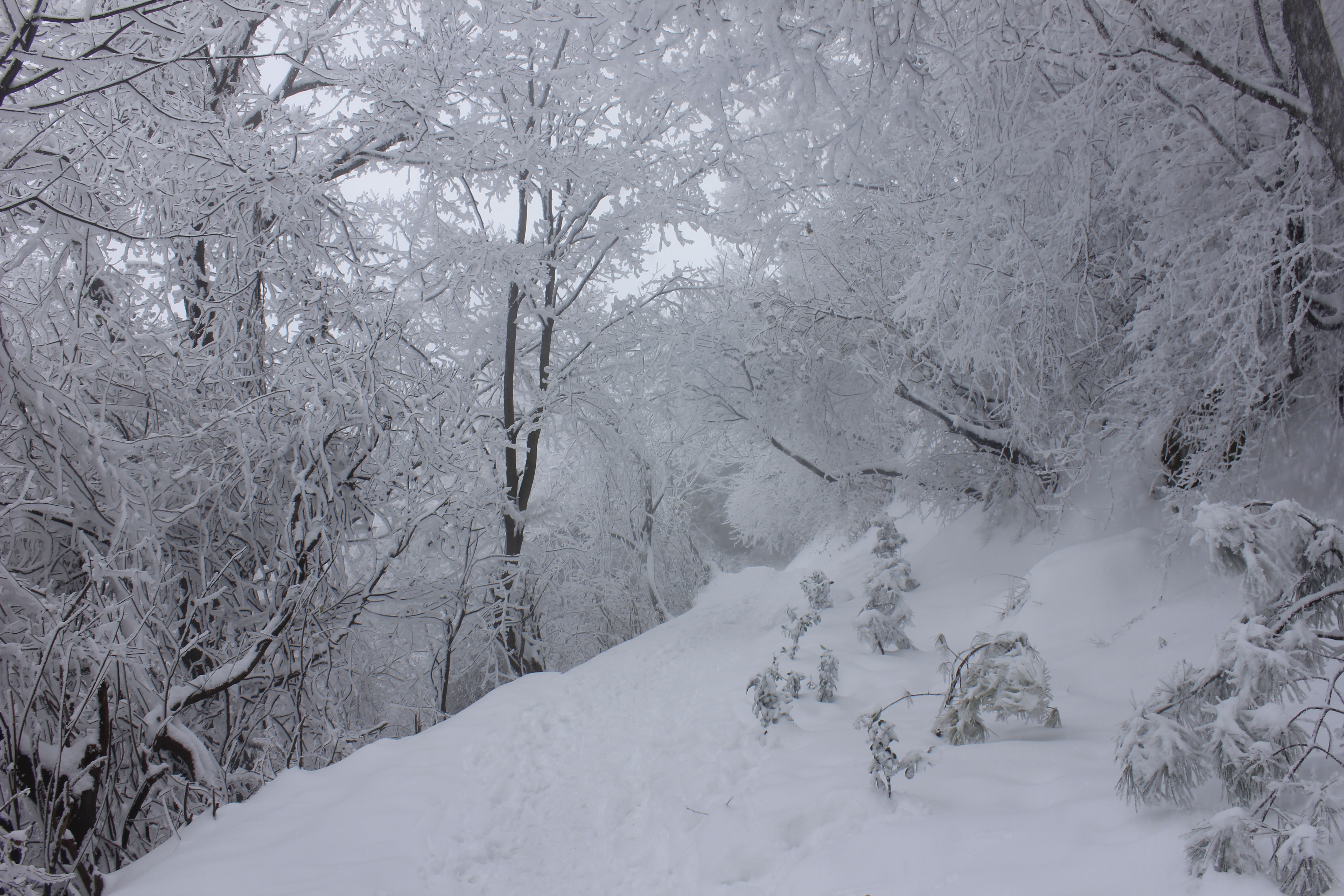 征集|【年末福利征集】雪后南五台幸遇云海