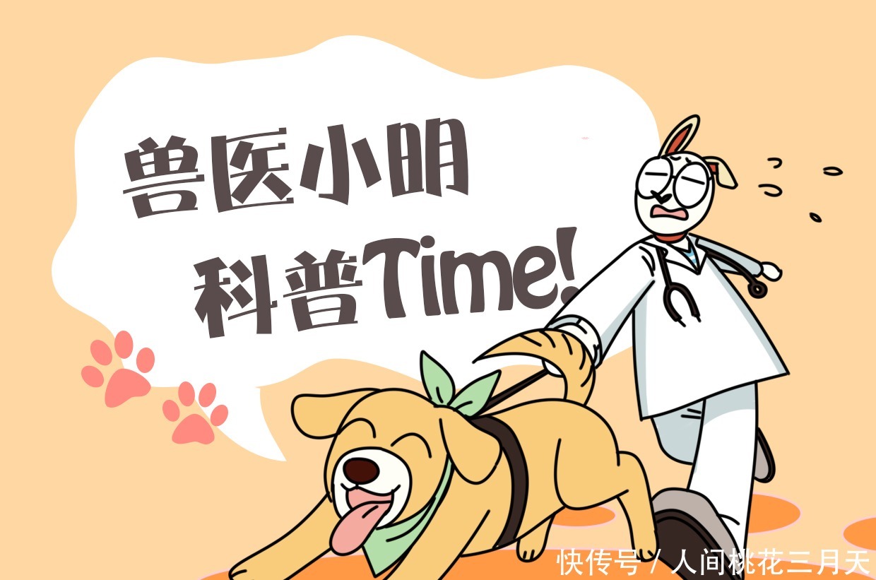 便宜|铲屎官送狗狗去幼儿园,看到发来的照片后却酸了难怪学费不便宜