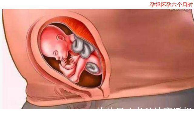 待产包|母亲十月怀胎到底多辛苦?十张图带你看孕育全过程,生命来之不易