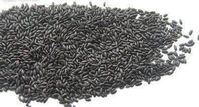 黑米|煮饭的时候加一把此物,气血好了,皱纹没了,白发变黑发