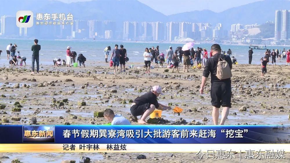 春节假期巽寮湾吸引大批游客前来赶海“挖宝”