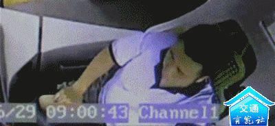 司机|300斤虾“横尸”高速，竟是因为这个司机…