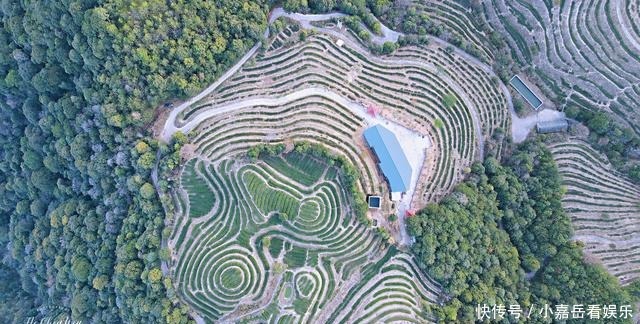 福建生态小镇，山连着山，水连着水，藏着一片世外桃源的茶山