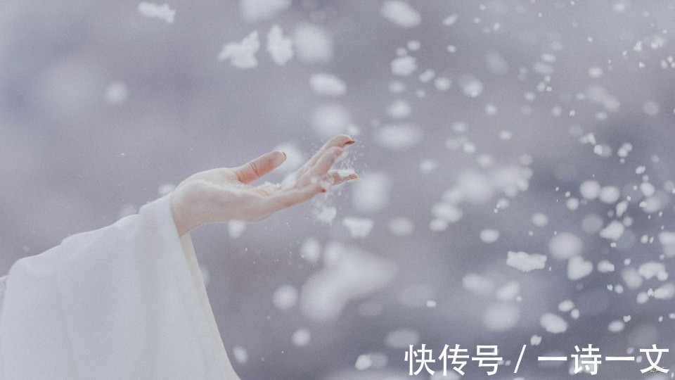 荒原@饮酒煮茶,围炉夜话,任他风雪扣柴门,但有杯中酒正温