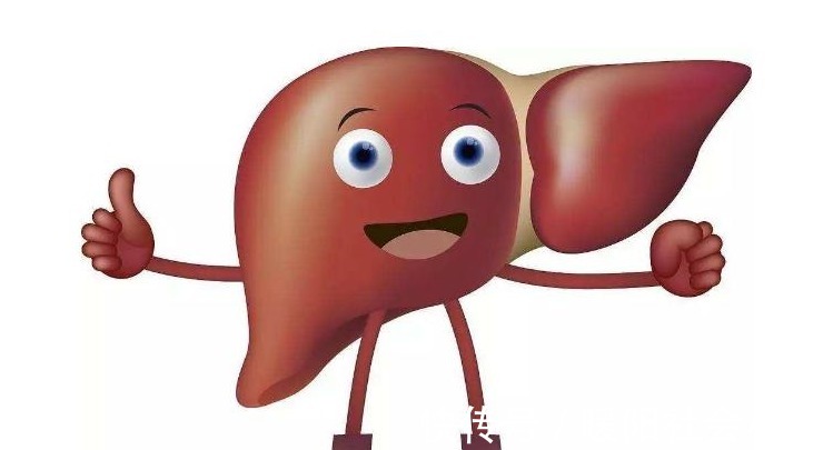 高手|养肝“高手”已找到!不是苦瓜,你若每天吃一点,肝或慢慢变柔软