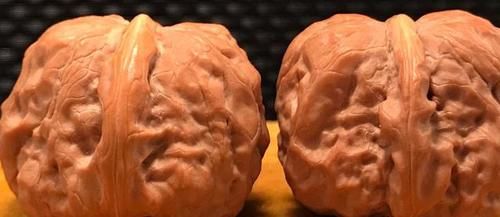 价值|中国有种核桃只能玩不能吃,品种多市场价值高,有钱人还喜欢