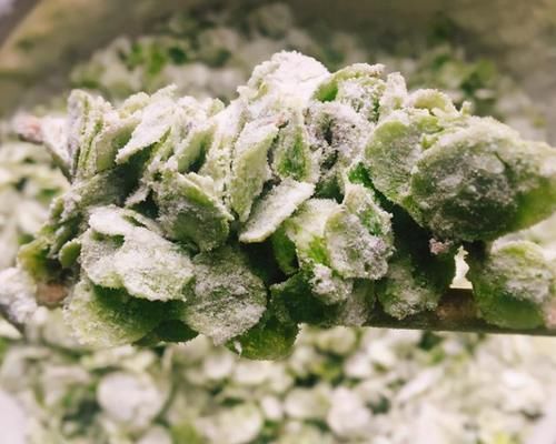 春天多吃这道蒸菜,安神助睡眠,做法简单,两天吃一次,睡觉香