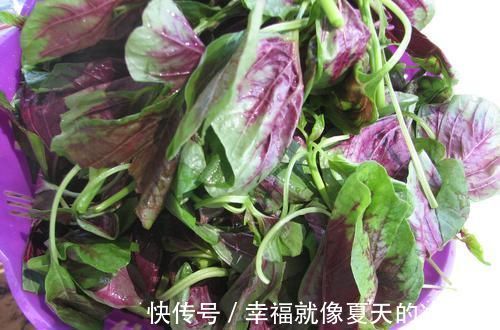 海蛎子|慢性咽炎一直反复?经常吃点天然“咽炎药”,轻松摆脱困扰