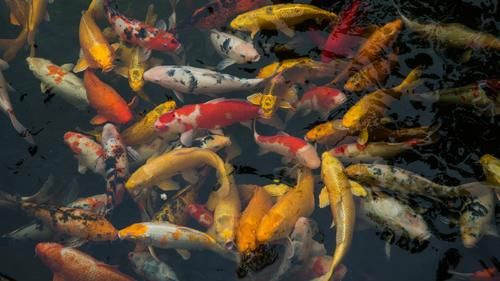 老年|除泰山外唯一的岱庙，坐落在山西，断臂“维纳狮”太吸睛！