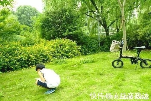 虫子|如何让孩子远离手机,这几乎是唯一的方式