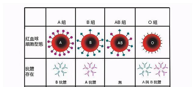 o型血|妈妈血型影响孩子智商？斯坦福大学：确有此事，这个血型有福气了