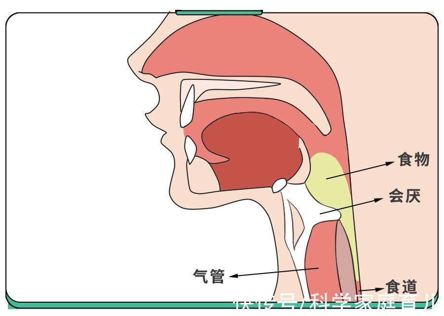 会厌|孩子疼到窒息，重症率高，小孩大人都得防，注意这几点