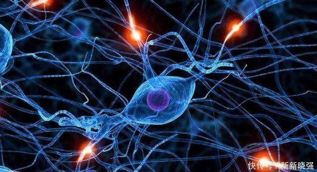 长寿|“寿命决定期”就在60岁，老人有以下5个“爱好”，不想长寿都难