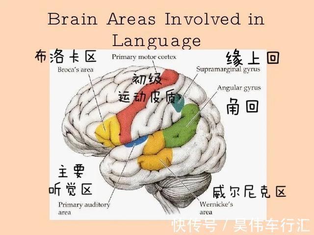 清华教授|清华教授：话多和话少的孩子，20年后过的是截然不同的人生