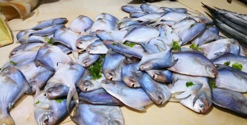 伏天|三伏天，再节约也要多吃“伏天5鲜”，为身体保驾护航，顺利过伏