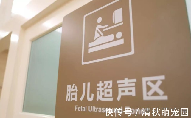 阴超|怀孕多久做B超检查比较好?这份孕早期检查攻略,孕妈们查收学习