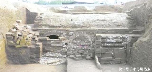 选择|老农家猪圈离奇丢猪,无奈选择报警,专家赶来后却乐开了花