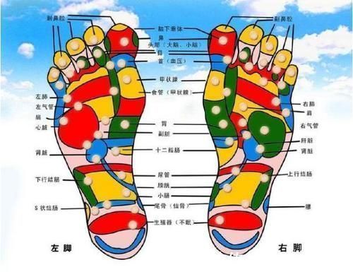 双脚|这条“筋”越软,人就越长寿每天敲一敲,简单养生很轻松