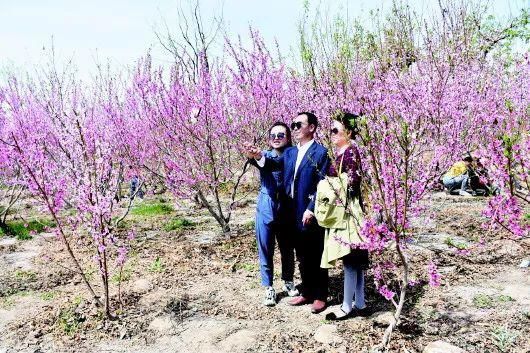 到那桃花盛开的地方