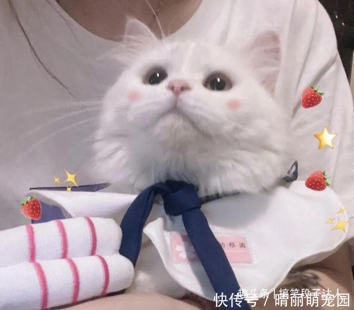 |搞笑段子:陪女客户爬山,问她坐会吧,她环顾四周,说了句