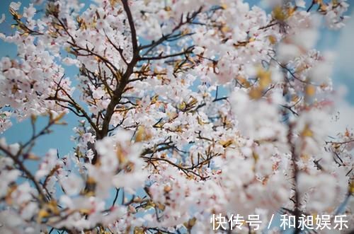 笋香!“梨花院落溶溶月,柳絮池塘淡淡风”:18句对偶诗词,美到哭!