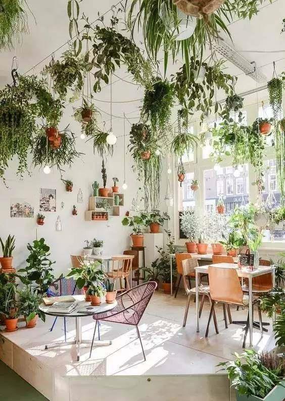 空中|房子小,咋养花?那就造一个空中花园