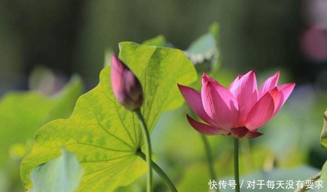 举止端庄|曾国藩真正内心强大的人,往往都有这3个特征!