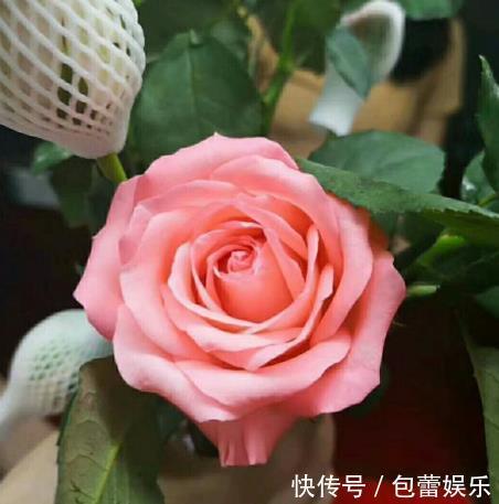 喜欢菊花,首选“菊中精品”东海朝霞,四季有花开,是盆栽佳品