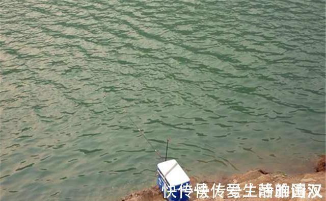 夏季|夏季钓鲤鱼,这三个技巧尤其重要,影响了“空军”还是“爆护”