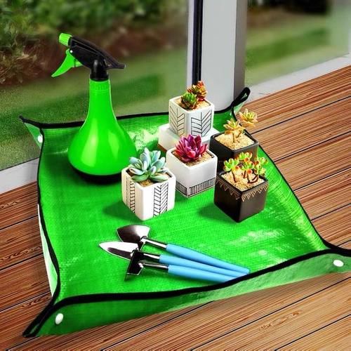 网购的多肉上盆之前用不用修根？没有统一的答案，需要区别对待