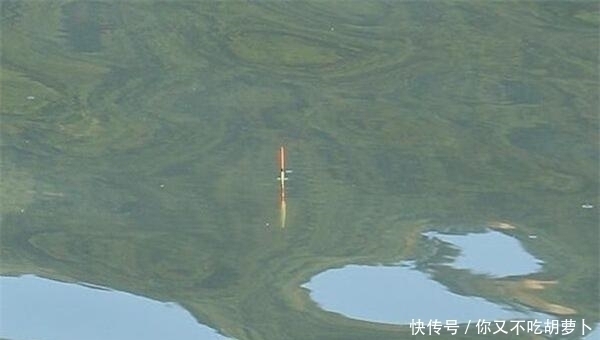 调漂技巧浮漂的送漂、顿口是怎么形成的