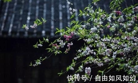 曲婉@李商隐感怀秋雨绵绵，抒写了一首名作，短短四句话，却值得细读