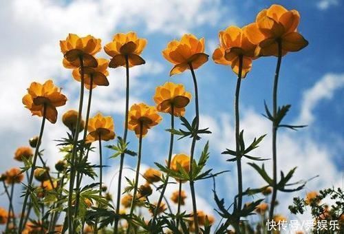 天生“老板命”!这4大生肖注定能够功成名就,想不发财都难