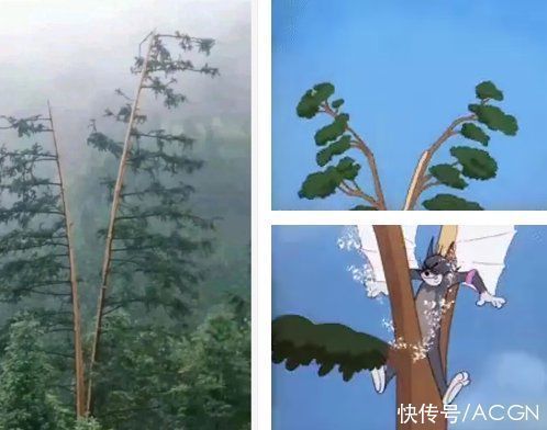 炭治郎|网友吐槽:真正的神cos,就算用一个刷子也能还原出动漫角色