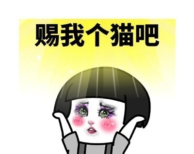 |表情包:搞笑有趣的表情赐予我好看的皮囊