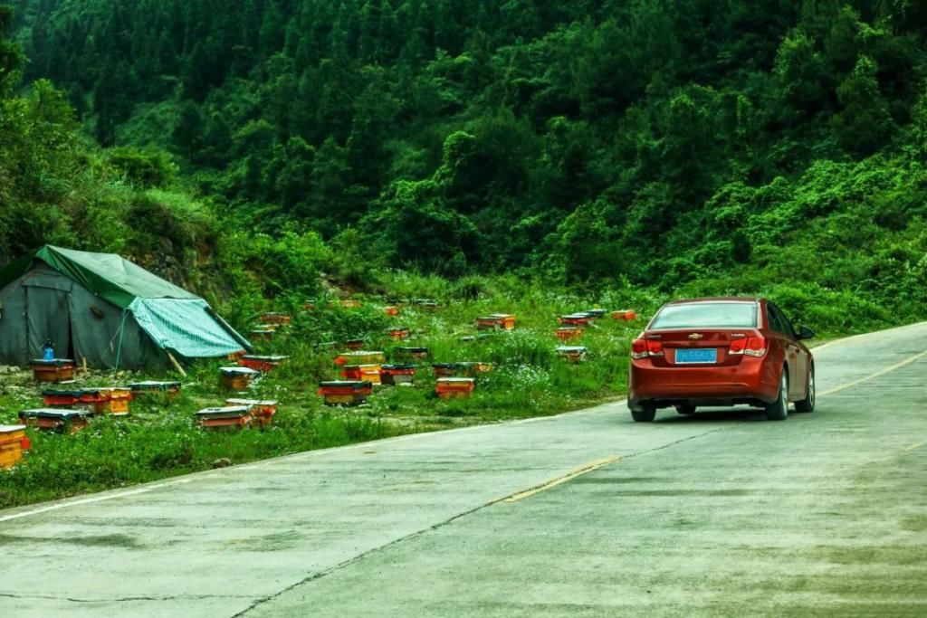 沿途|石柱这些高颜值公路建成，沿途藏着最美的山水景致！