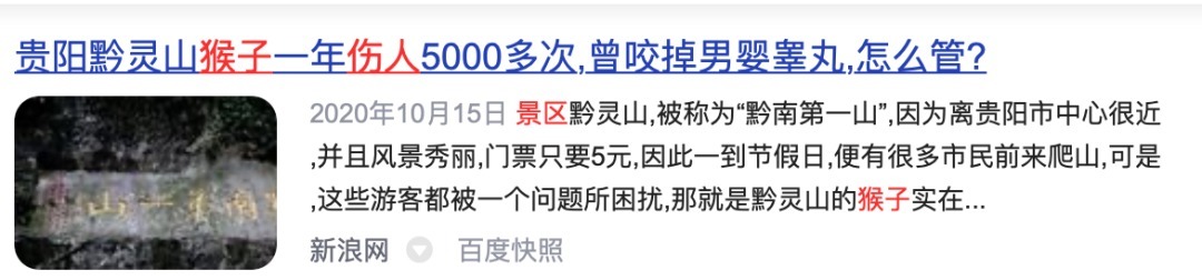 千岛湖景区|野猴伤人推人事件频发,为什么杭州千岛湖景区里的就那么听话?