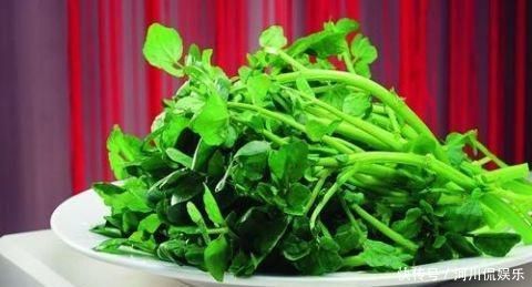 滋补身体|想长寿得会吃,三种食物换着吃,营养丰富,滋补身体,早知早好