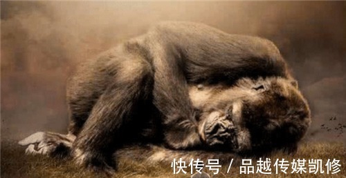 山海经|《山海经》中的巨人族，如今现身亚马逊，难道神话传说并非虚构？