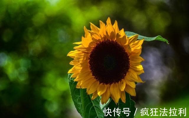 五一|五一过后，繁花似锦，前缘就位，一直怀念，挽狂澜，不再打扰