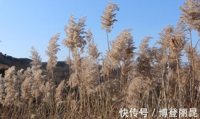 大樱桃|烟台福山郊区一座大山的风光, 名叫“龙王山”