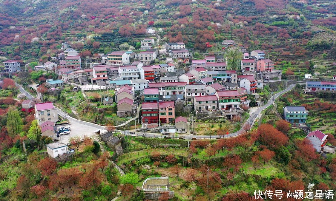 高山村落，樱花盛开，天空之境，天上人间