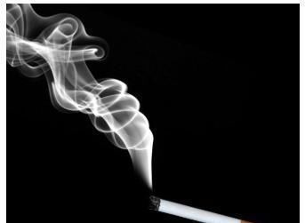 红薯|70~79岁是长寿关键期,切记“五防”,长寿并不难,望周知