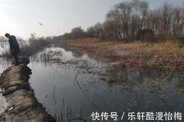 传统|深冬想要钓好鱼，千万别迷信台钓商品饵，传统虫饵才是王者！