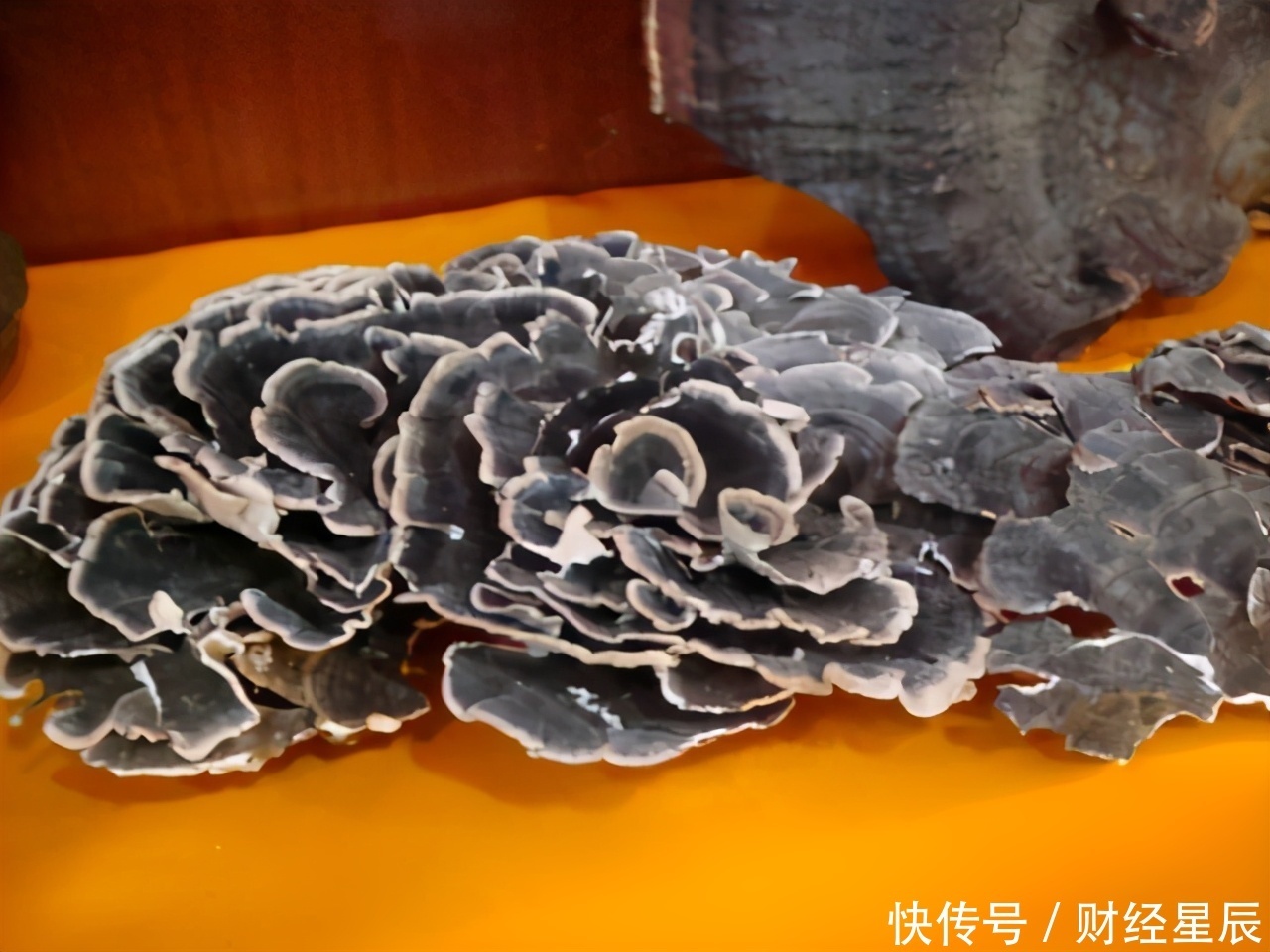 枸杞|养肝并不难,肝脏喜欢3种食物,经常吃,肝功能或会逐渐变强