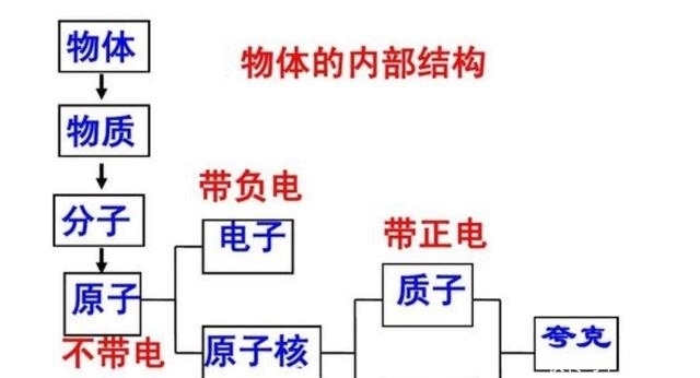 中子和质子的夸克有何不同，中微子双β衰变意味着什么？