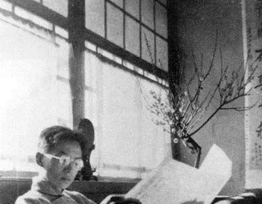 照片&梅花下的林徽因,美极了!梅花下的林徽因,美极了!